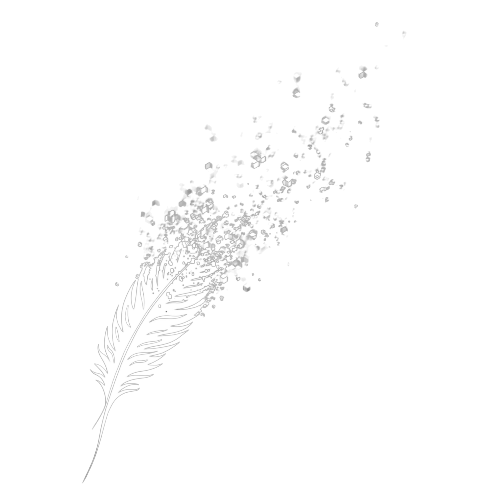 A.N Arts & Software Logo Feather